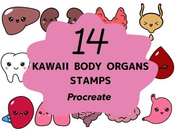 Download Kawaii Body Organs Stamps Procreate - Body Collection