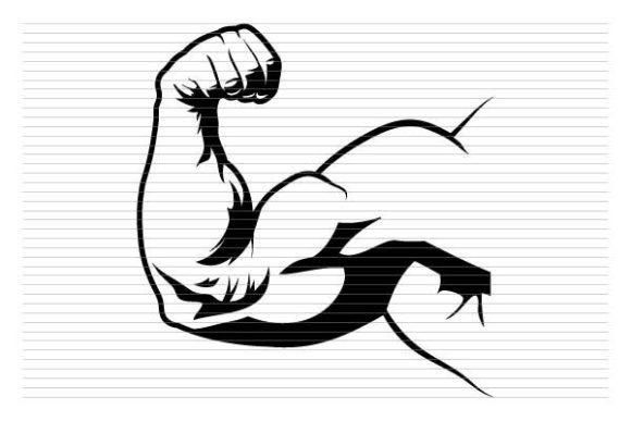 Download Body Building Man Arm Muscle - Body Collection